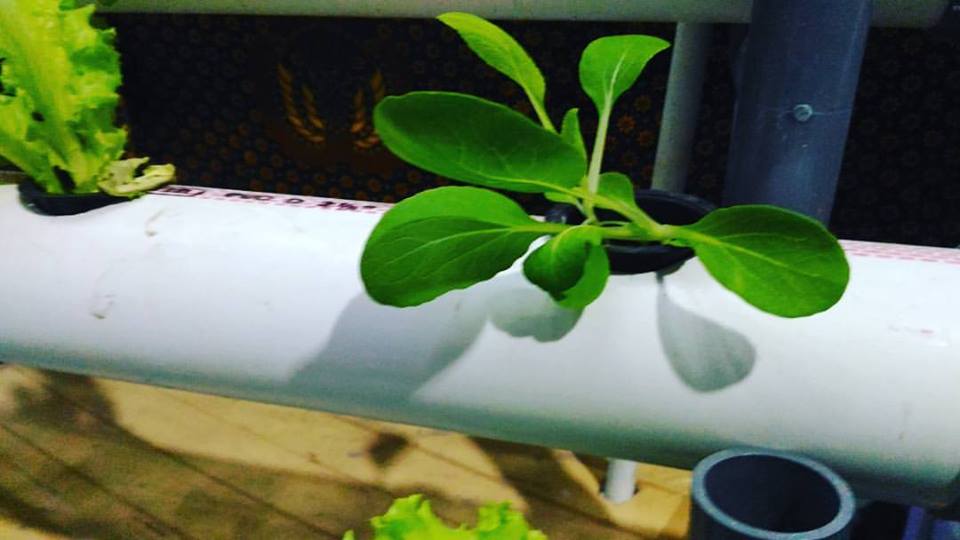 Bersyukur dan Tak Takabbur